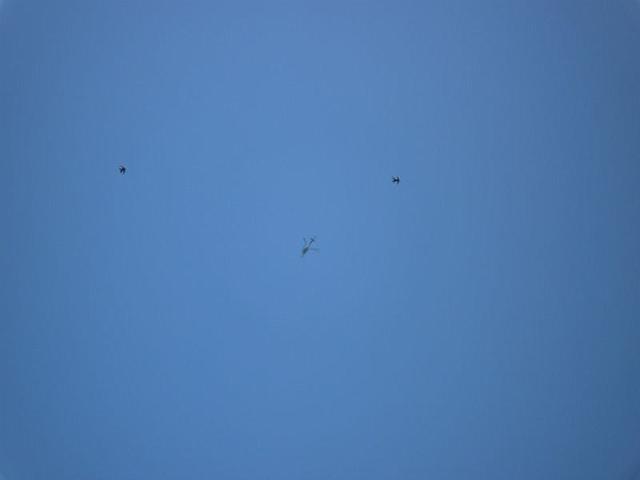 airpower09_007.jpg