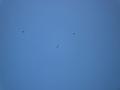 airpower09_007