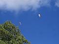 airpower09_024