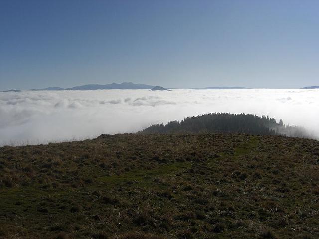 greim_002.jpg