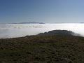 greim_002