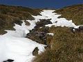 greim_008