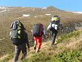 greim_009