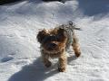 frauenalpe_007