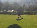 frauenalpe_017