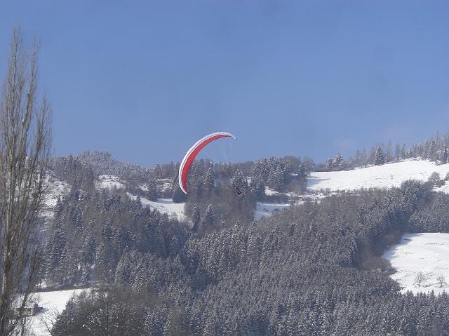 fasching_012.jpg