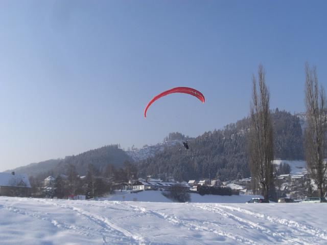 fasching_026.jpg
