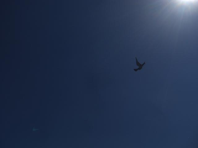 ausflug_104.jpg