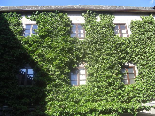 ausflug_164.jpg