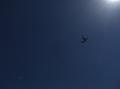 ausflug_104