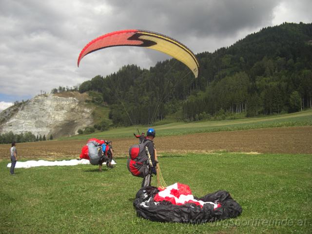 2010_poels_04.JPG