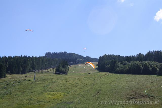 flife2010_131.jpg
