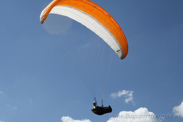 flife2010_133.jpg