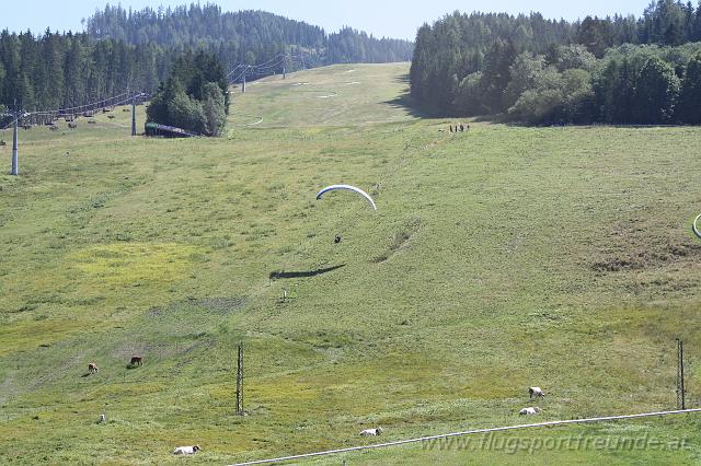 flife2010_141.jpg