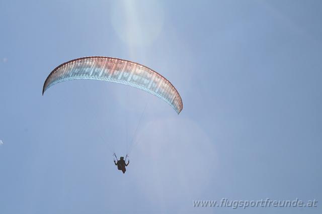 flife2010_155.jpg