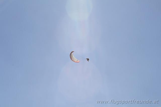 flife2010_177.jpg