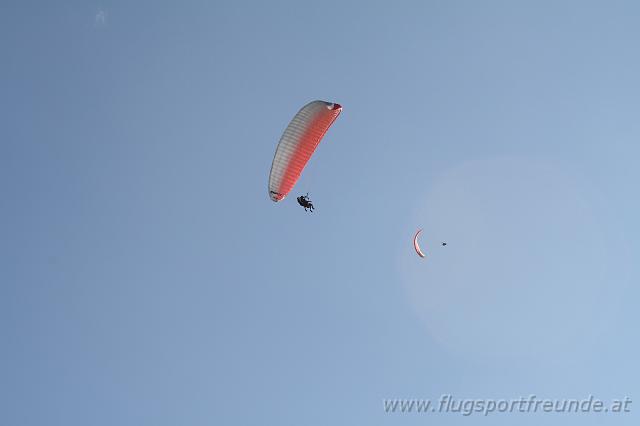flife2010_211.jpg