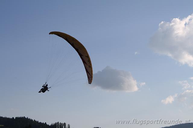 flife2010_218.jpg
