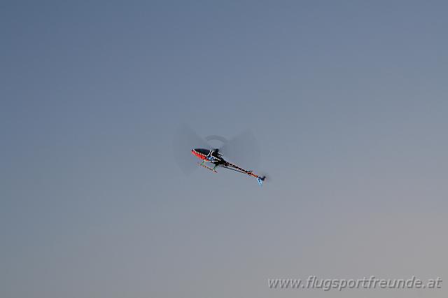 flife2010_235.jpg
