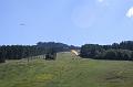 flife2010_131