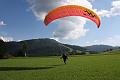 flife2010_193