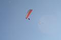 flife2010_211