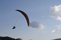 flife2010_218