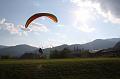 flife2010_225