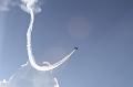 flife2010_226