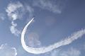 flife2010_228