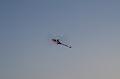 flife2010_235