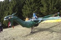 2011_faschingsfliegen_088