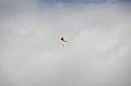 sht_2011_94