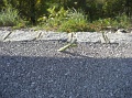2011-10_lijak_33