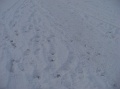 2011-12_winter-opening_10