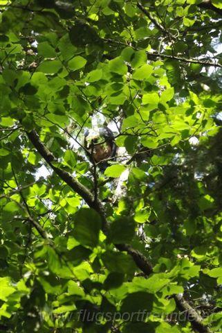 2012_vergleichsfliegen_21.JPG - Foto-Service >XQLPF20?PFEAMR[