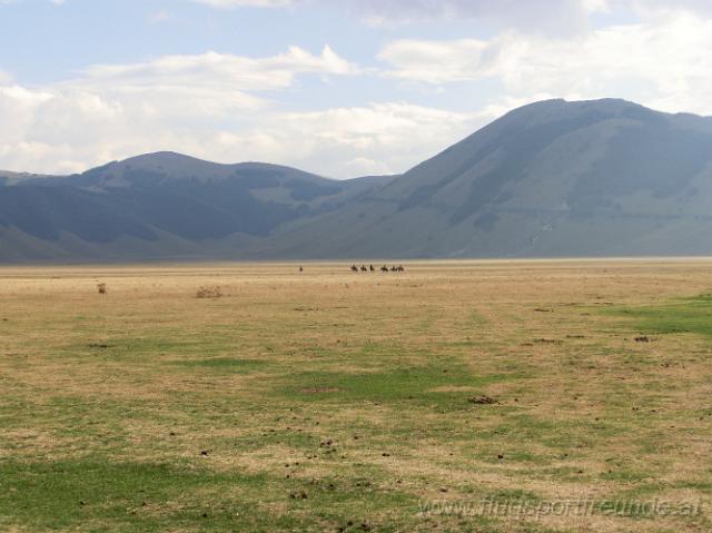 castelluccio_061.jpg