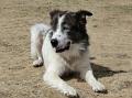 castelluccio_017