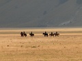 castelluccio_060