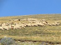 castelluccio_070