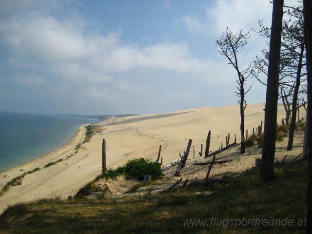 duene_116.jpg