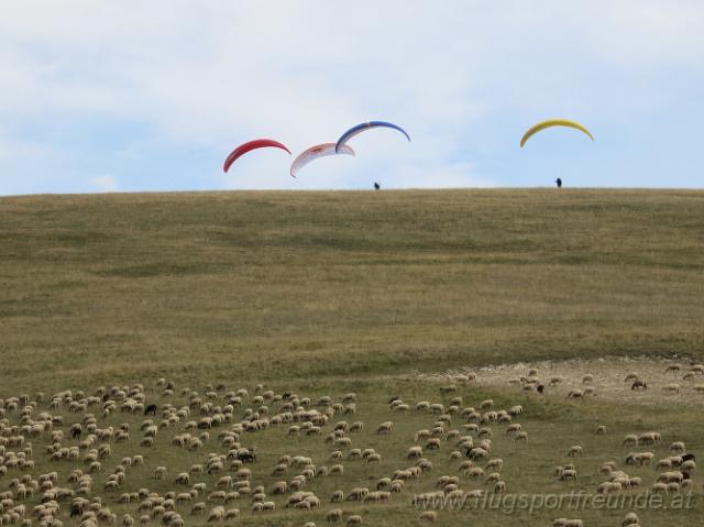 castelluccio_058.jpg