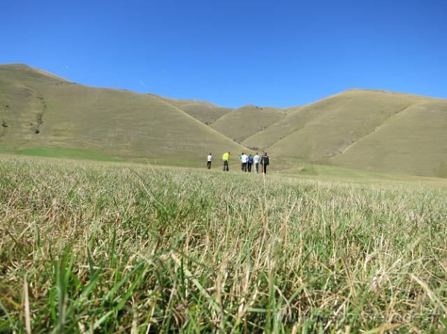castelluccio_065.jpg