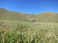 castelluccio_065