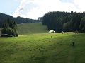 flife_030