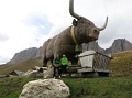 suedtirol_015