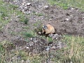 suedtirol_064