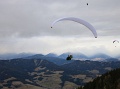 neujahr_019