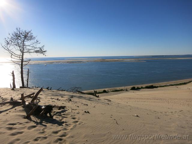 dune_005.jpg