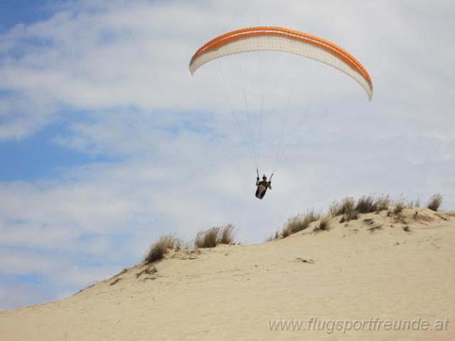 dune_038.jpg